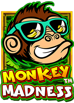 เว็บพนันออนไลน์ อัน ไหนดี: ทดลองเล่นกันเถอะ